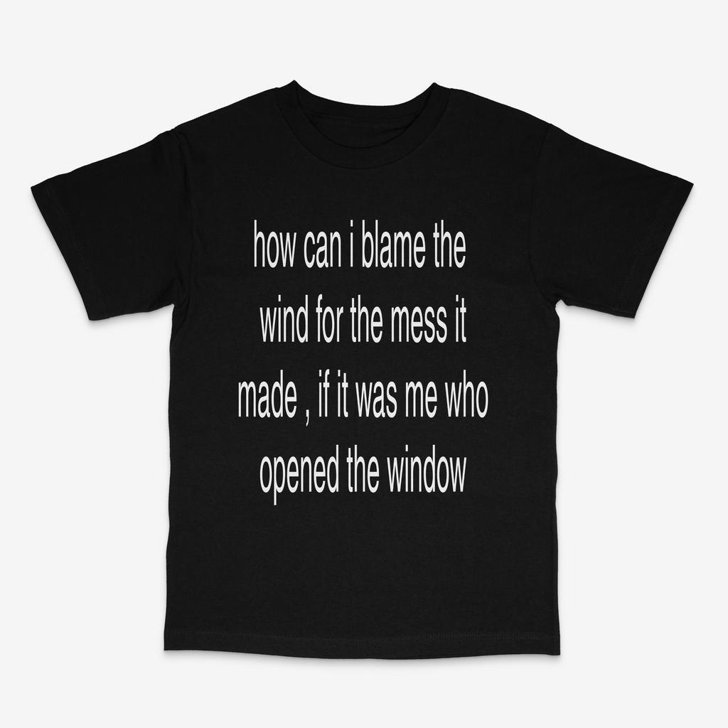 how can i blame the wind