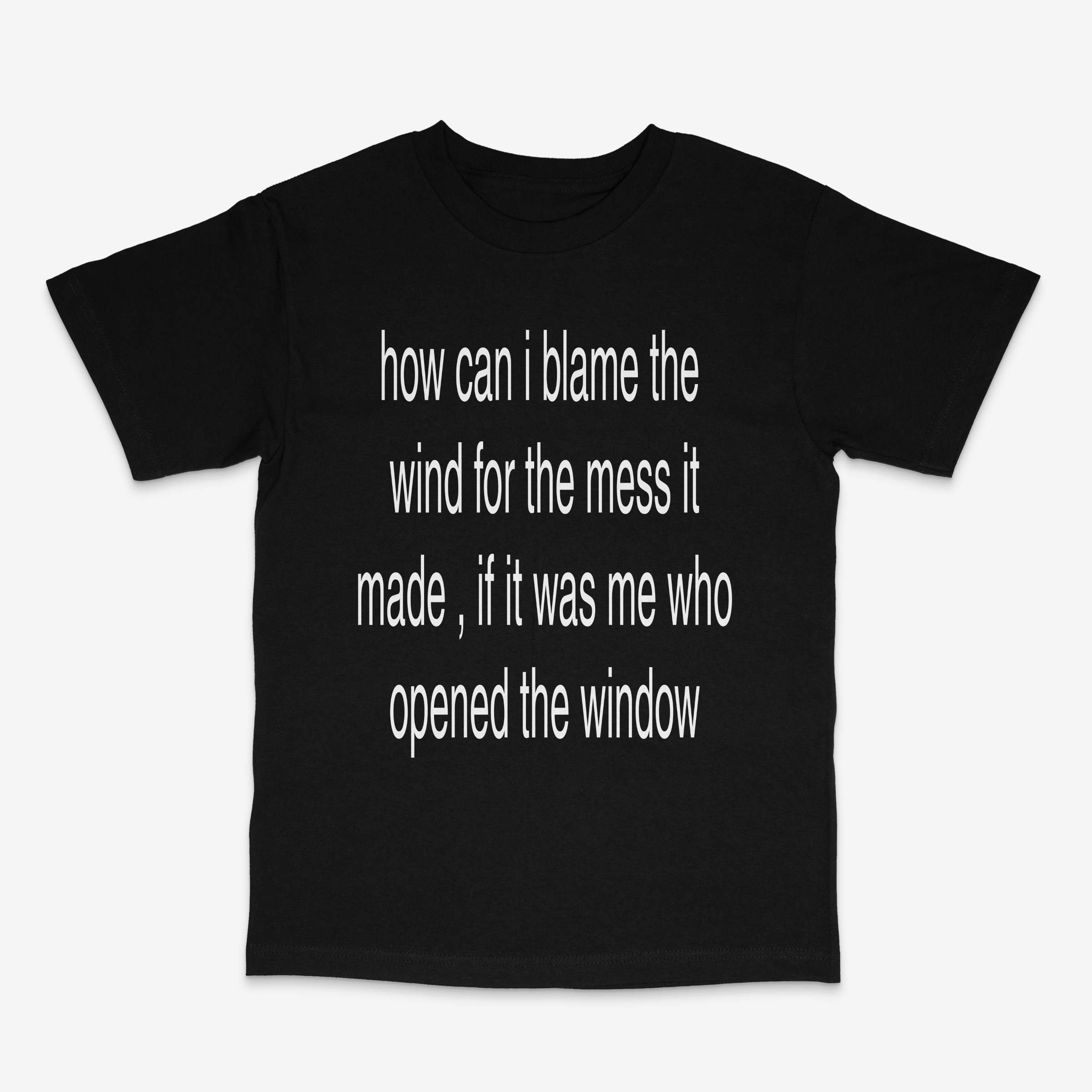 how can i blame the wind