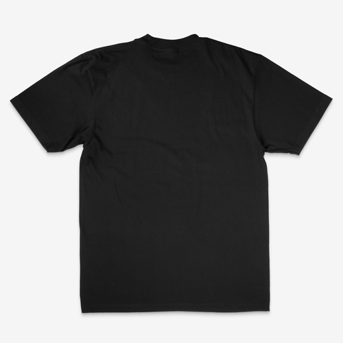 Action is yours sanskrit script