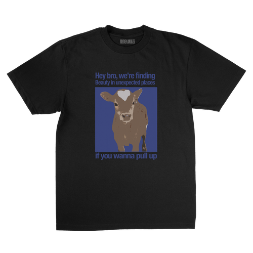 beauty in unexpected places