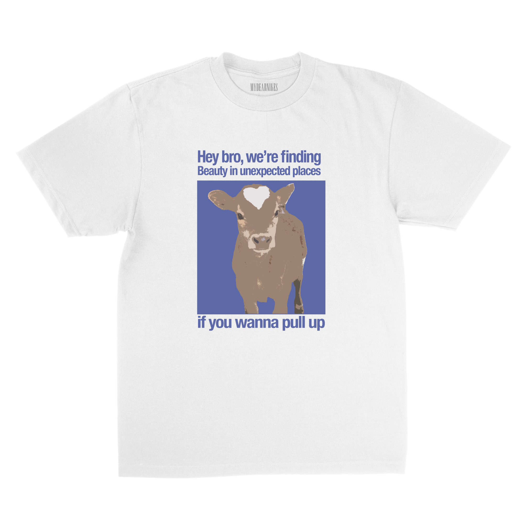 beauty in unexpected places