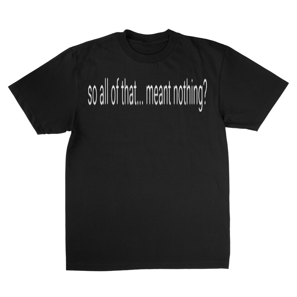 SO ALLOF THAT ..MEANT NOTHING?